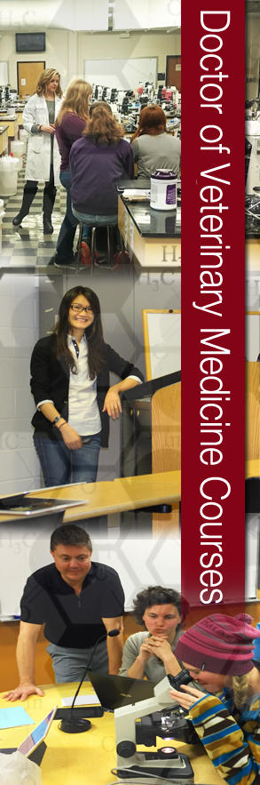 images of students in classrooms with "Doctor of Veterinary Medicine courses" superimposed
