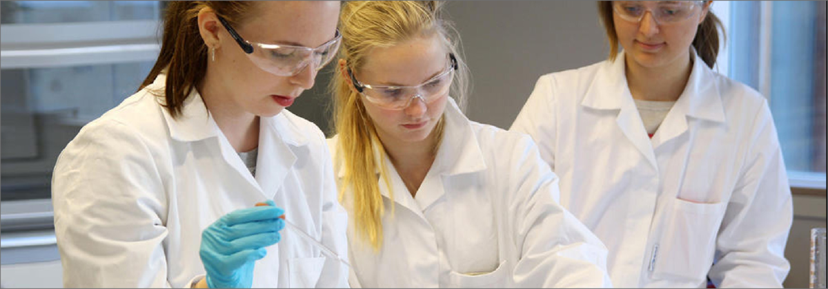Students owrking in a lab