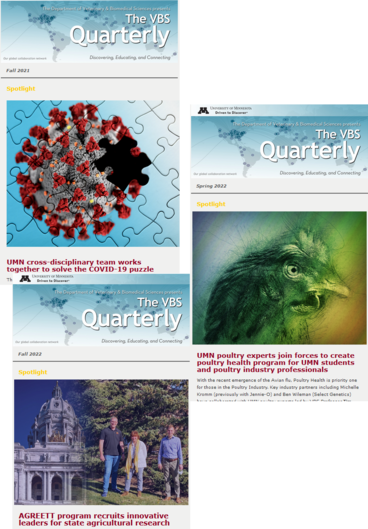 Collage of VBS Quarterly issue covers